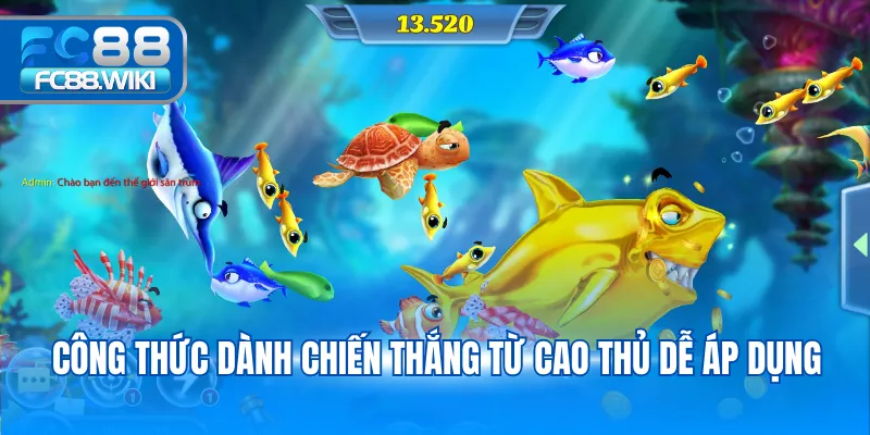 Công thức dành chiến thắng từ cao thủ dễ áp dụng