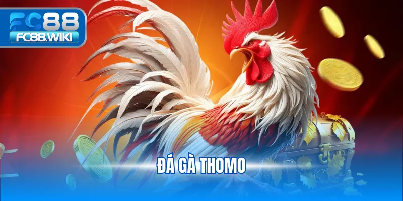 Đá Gà Thomo – Tìm Hiểu Luật Chơi FC88, Ưu Điểm Và Mẹo Ha Đá Gà Thomo