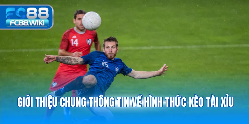 Kèo Tài Xỉu – Bí Quyết Đọc Kèo Và Soi Kèo Chính Xác 2025 Giới thiệu chung thông tin về hình thức kèo tài xỉu