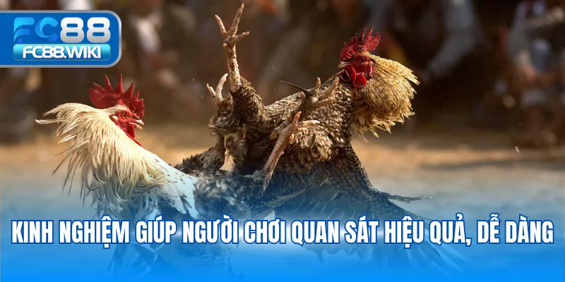 Đá Gà Cựa Sắt – Trải Nghiệm Đỉnh Cao Tại FC88 Kinh nghiệm giúp người chơi quan sát hiệu quả, dễ dàng