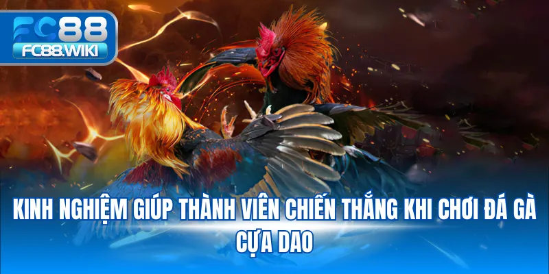 Kinh nghiệm giúp thành viên chiến thắng khi chơi đá gà cựa dao