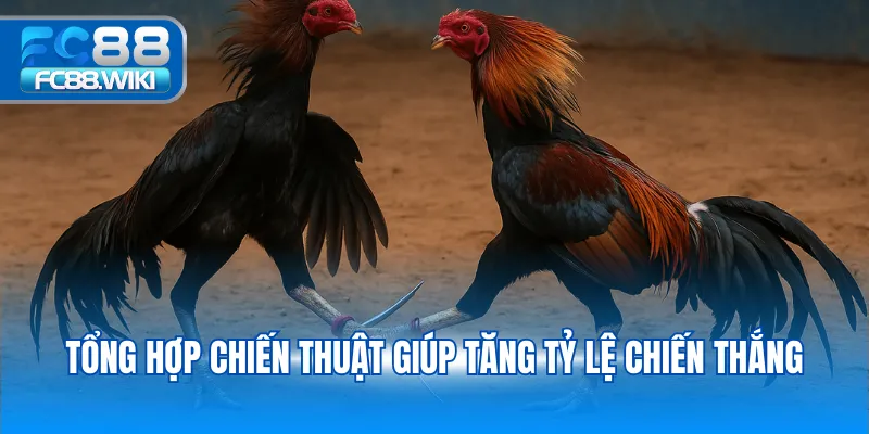 Đá Gà Cựa Sắt – Trải Nghiệm Đỉnh Cao Tại FC88 Tổng hợp chiến thuật giúp tăng tỷ lệ chiến thắng