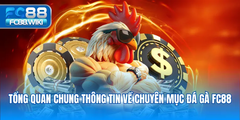 Tổng quan chung thông tin về chuyên mục đá gà FC88